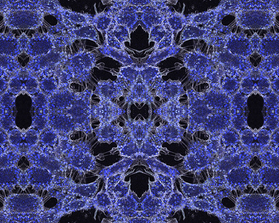 blue and black cells webed together