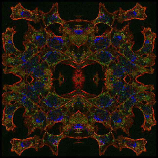  cells mandala,red, green and blue with Mayan Mask shapes